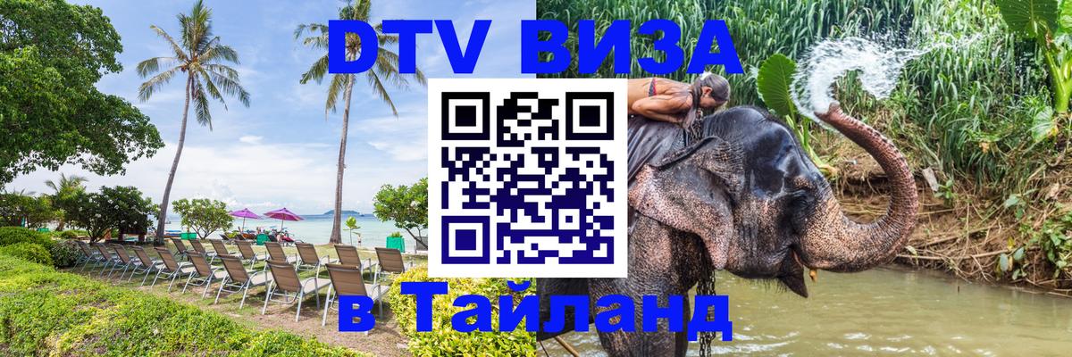 Оформление DTV визы под ключ: стоимость и тарифы, только загранпаспорт - Новошахтинск 